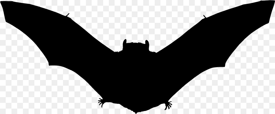 Halloween Bats, Gray Free Png