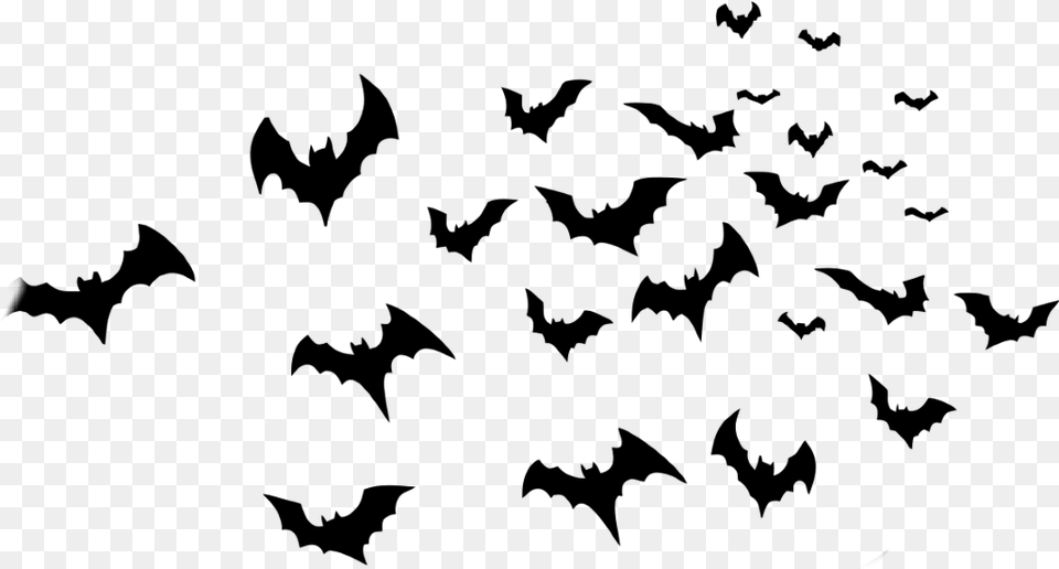 Halloween Bats Background Bats Free Png