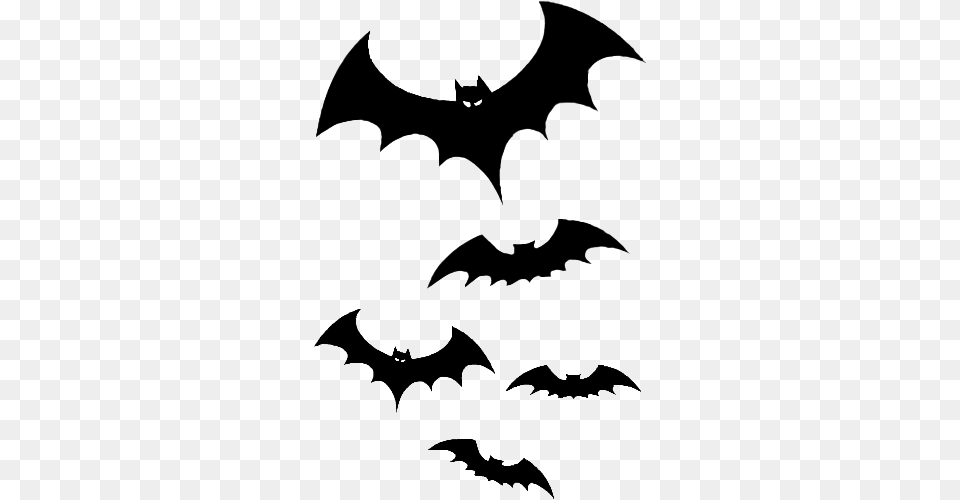 Halloween Bats Festival Collections, Logo, Symbol, Animal, Bird Png Image