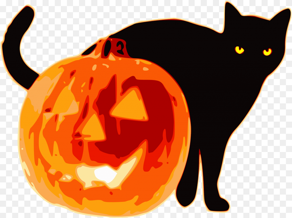 Halloween Black Cat And Pumpkin Halloween Cat And Pumpkin, Animal, Mammal, Pet, Black Cat Png