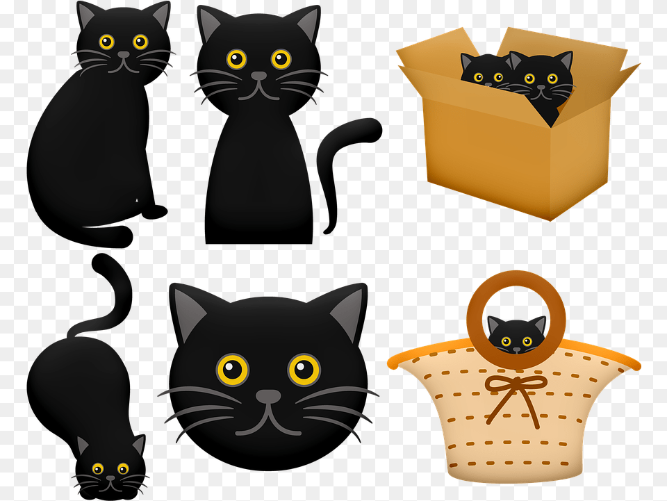 Halloween Black Cat In Box On Pixabay Black Cat Face Clipart, Animal, Mammal, Pet, Cardboard Free Png Download