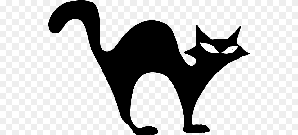 Halloween Black Cat Picture Arts, Animal, Mammal, Pet Png