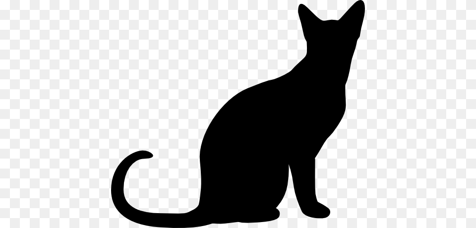 Halloween Black Cat Silhouette, Animal, Mammal, Pet, Black Cat Free Png Download