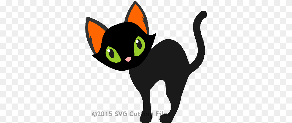 Halloween Black Cat Svg, Animal, Mammal, Pet, Bear Free Png Download