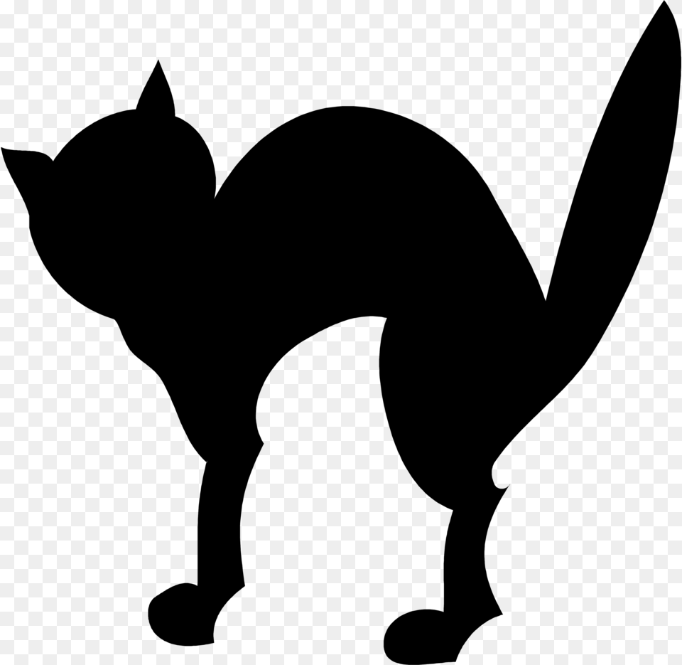 Halloween Black Cat Transparent Background, Gray Free Png Download