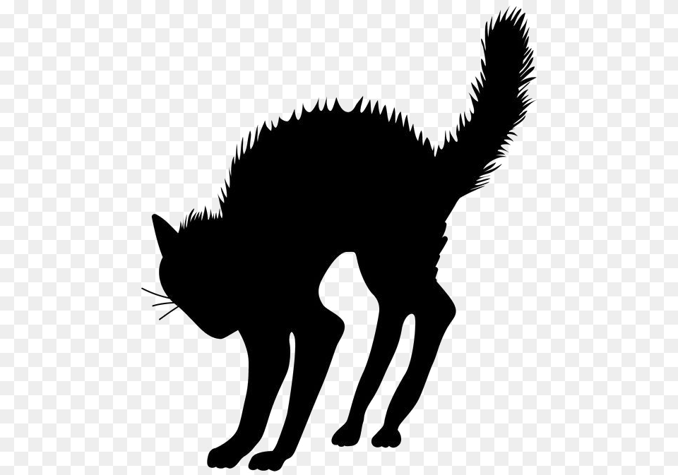 Halloween Black Cat Transparent Halloween Black Cat Silhouette, Animal, Coyote, Mammal, Stencil Png Image
