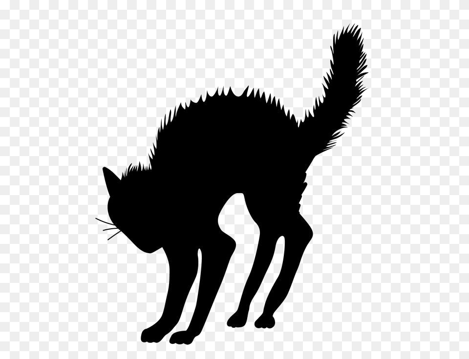 Halloween Black Cat Vector Transparent Vector Clipart, Silhouette, Stencil, Animal, Dinosaur Free Png