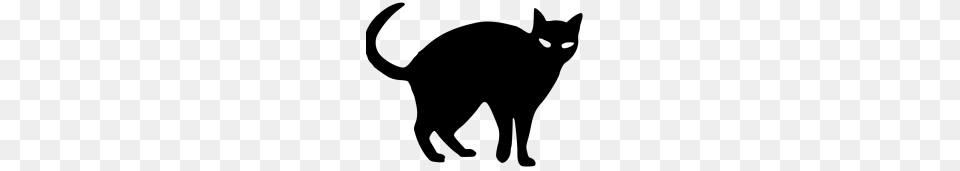 Halloween Black Cat Vector Image With Transparent, Gray Png