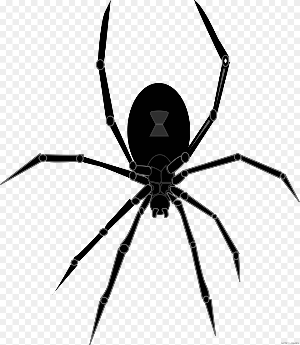 Halloween Black Widow Spider, Animal, Invertebrate Free Transparent Png