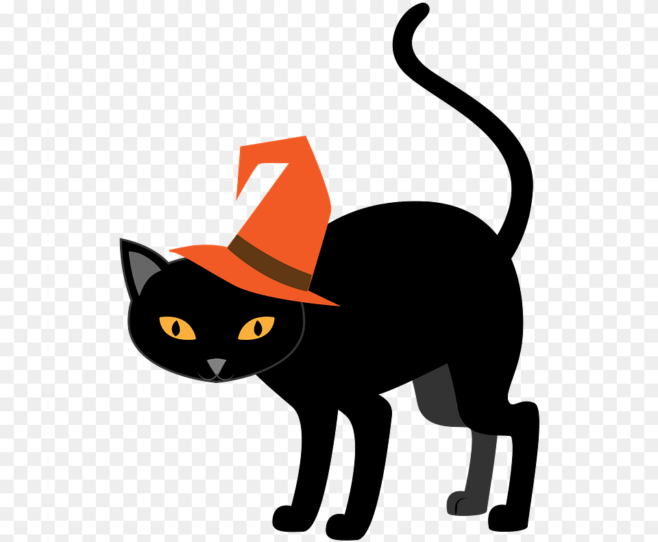 Halloween Cat Clipart Clip Art Halloween Cats, Clothing, Hat, Animal, Mammal Png