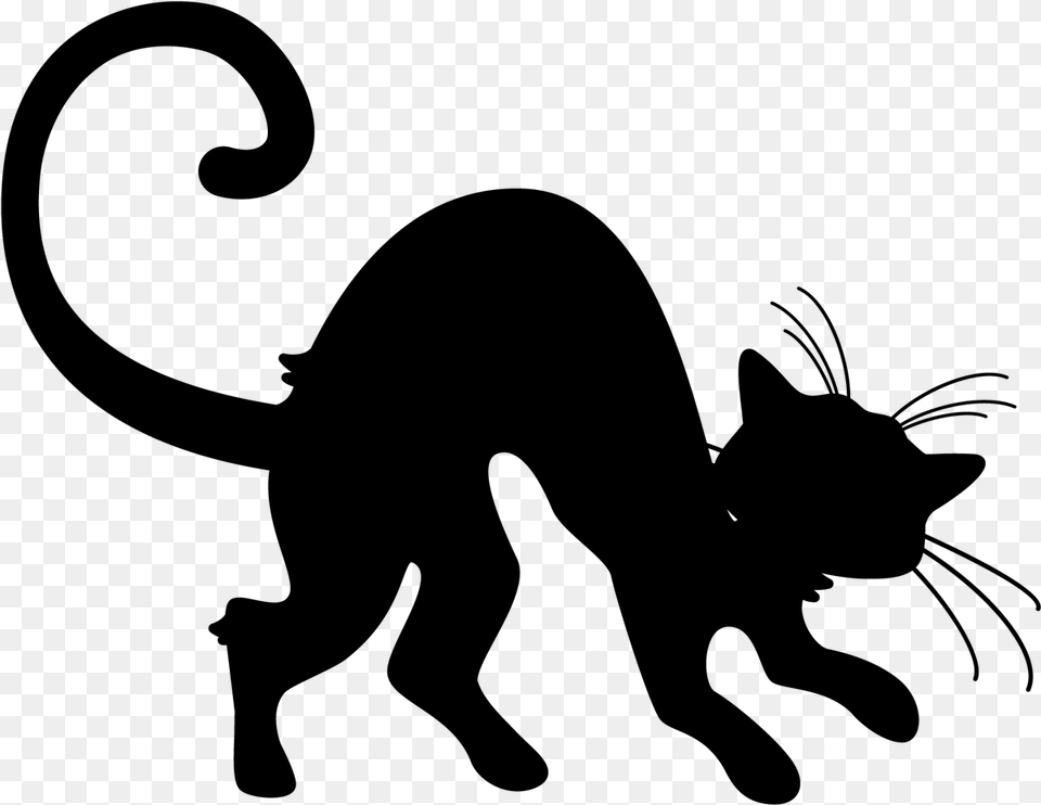 Halloween Cat Drawing Happy Halloween Transparent, Gray Png Image