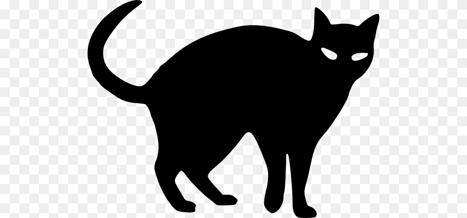 Halloween Cat Outline Cat Silhouette Clip Art Projects To Try, Animal, Mammal, Pet, Black Cat Png Image