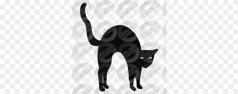 Halloween Cat Picture For Classroom Black Cat Free Transparent Png