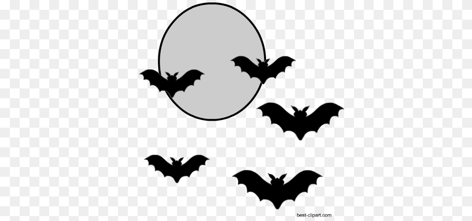 Halloween Clip Art, Logo, Animal, Bird, Mammal Free Png