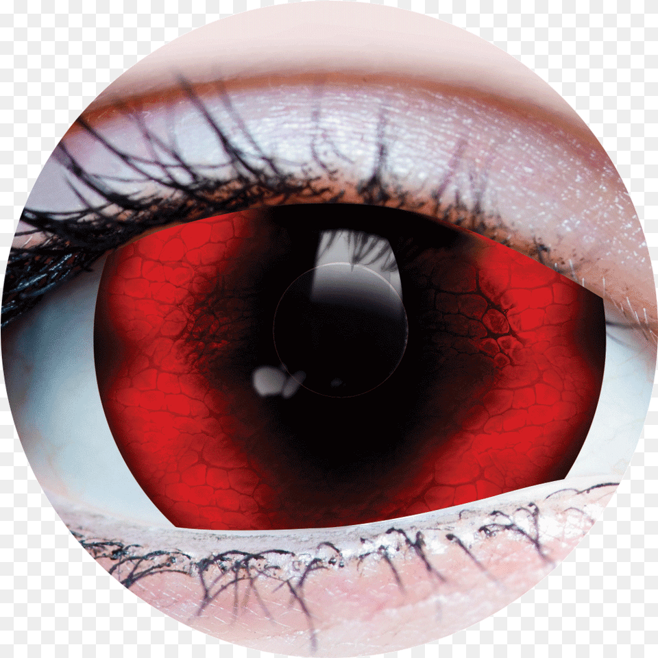 Halloween Costume Contact Lens Reptilian Red Contact Lenses, Contact Lens, Sphere, Disk Free Transparent Png