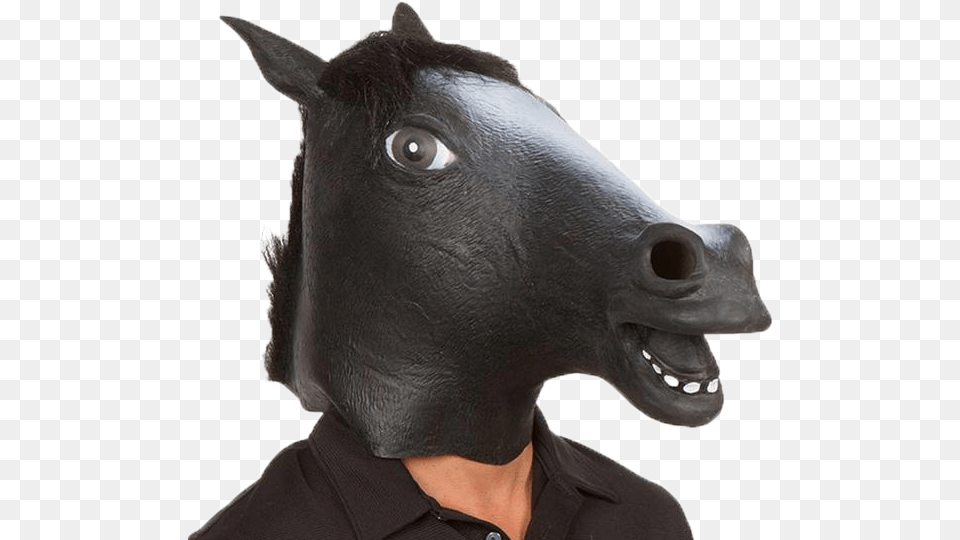 Halloween Costume Mask Bird Horse Horse Costume Head Animal, Cattle, Cow, Livestock Free Transparent Png