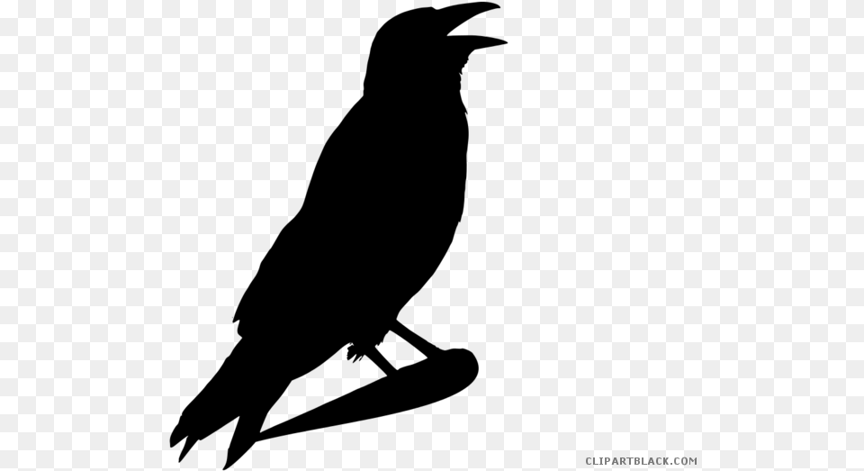Halloween Crow Clipart Black Halloween Crows Clip Art, Gray Free Transparent Png