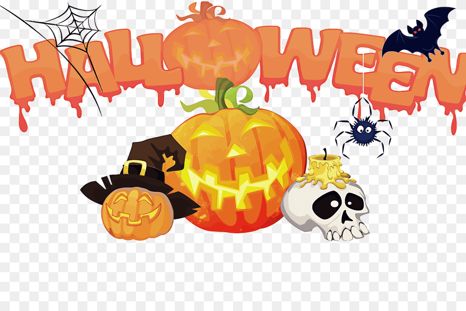 Halloween Decorations Clipart, Festival, Animal, Invertebrate, Spider Png