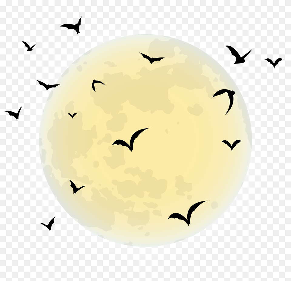 Halloween Fall Halloween, Egg, Food, Animal, Bird Free Png