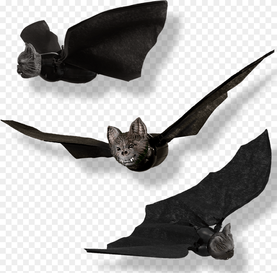 Halloween Flying Bat Toy, Animal, Mammal, Wildlife, Cat Png