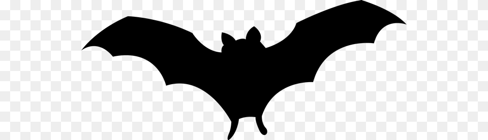 Halloween Graphics, Animal, Mammal, Wildlife, Bat Png Image