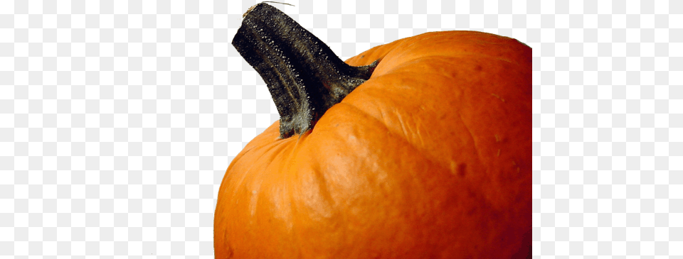 Halloween Graphics Thanksgiving, Food, Plant, Produce, Pumpkin Png