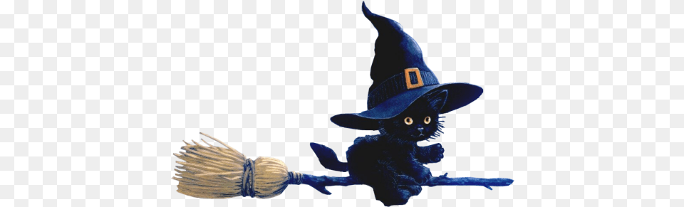 Halloween Graphics Witch Cat On Broom, Clothing, Hat, Animal, Fish Free Png Download