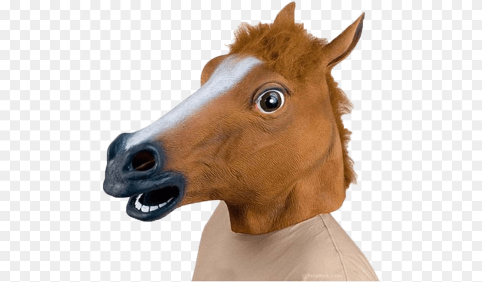 Halloween Horse Mask Horse Head Mask, Animal, Mammal, Colt Horse, Snout Png Image