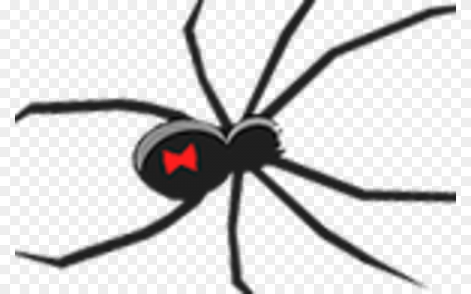 Halloween Looks Black Widow Spider Ornament, Animal, Black Widow, Insect, Invertebrate Free Png Download
