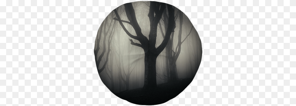 Halloween Night In A Spooky Forest Tufted Floor Pillow Forest, Fog, Nature, Outdoors, Weather Free Png