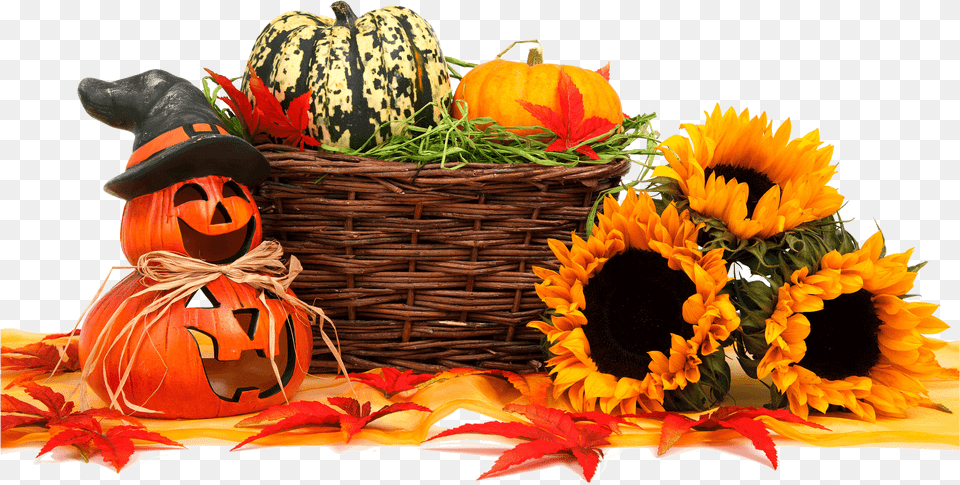 Halloween October Calendar 2019, Vegetable, Pumpkin, Flower, Food Free Png