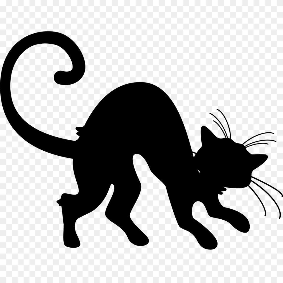 Halloween Pictures To Print, Silhouette, Animal, Cat, Mammal Png Image