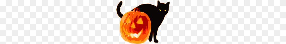 Halloween Pumpkin Kids, Animal, Cat, Mammal, Pet Free Transparent Png