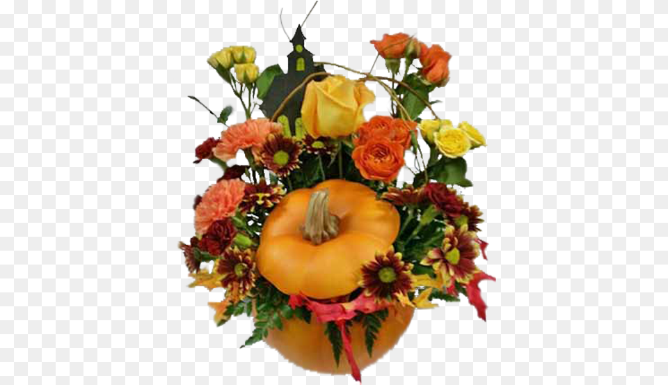 Halloween Pumpkin Garden Roses, Plant, Flower, Flower Arrangement, Flower Bouquet Png