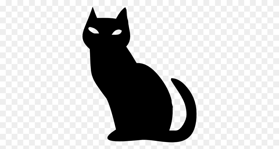 Halloween Scary Cat Desktop Backgrounds, Animal, Mammal, Pet, Black Cat Free Png