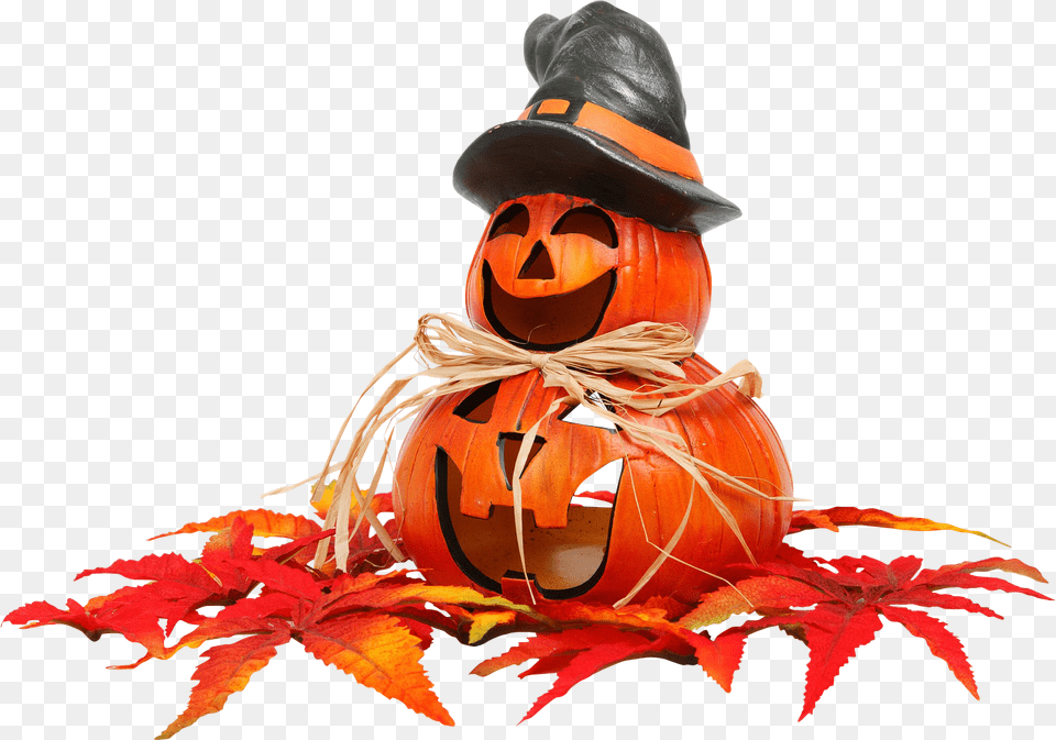 Halloween Shopping, Leaf, Plant, Person, Adult Free Png