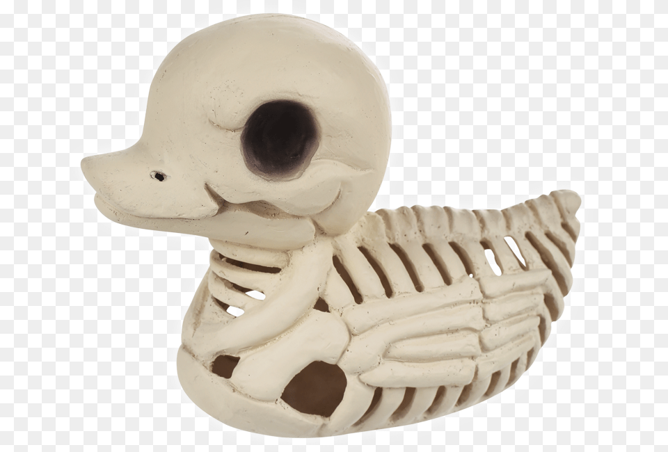 Halloween Skeleton, Baby, Person Free Transparent Png