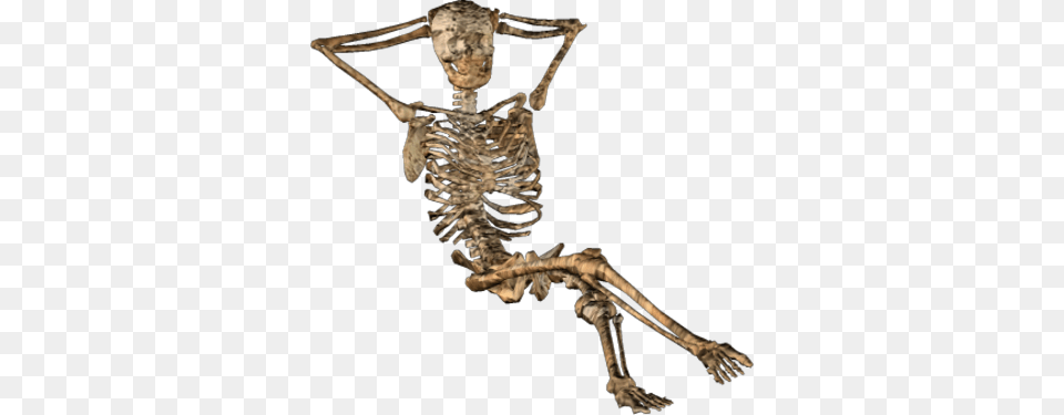 Halloween Skeleton, Animal, Bird Png