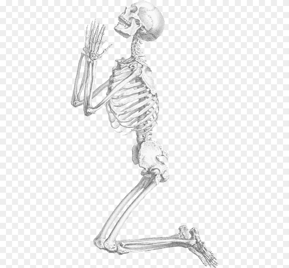 Halloween Skeleton Praying Skeleton Free Png