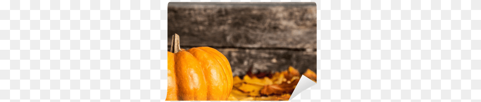 Halloween Skin Care, Food, Plant, Produce, Pumpkin Png