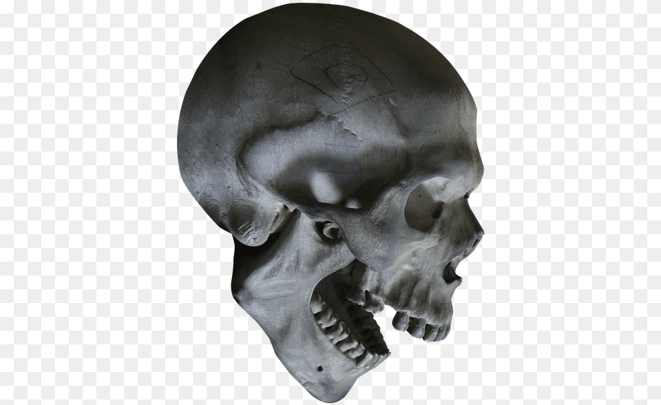 Halloween Skull Skeleton Skull Head Head Bone Transparent Skull, Person Free Png Download
