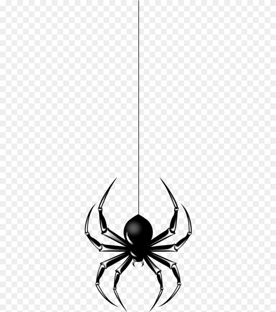Halloween Spider, Symbol, Animal, Invertebrate Free Png Download