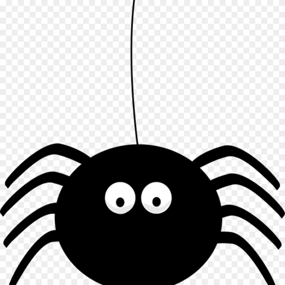 Halloween Spider Clip Art Halloween Spider Clipart Spider Clipart, Text Free Png Download