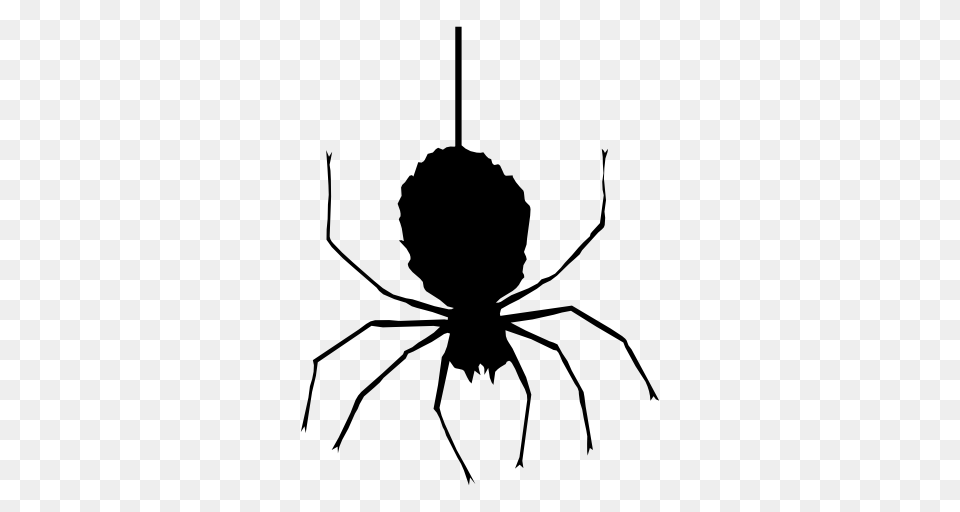 Halloween Spider Clipart, Silhouette, Stencil, Animal, Invertebrate Png Image