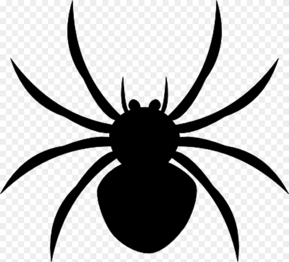 Halloween Spider Clipart, Gray Free Png Download