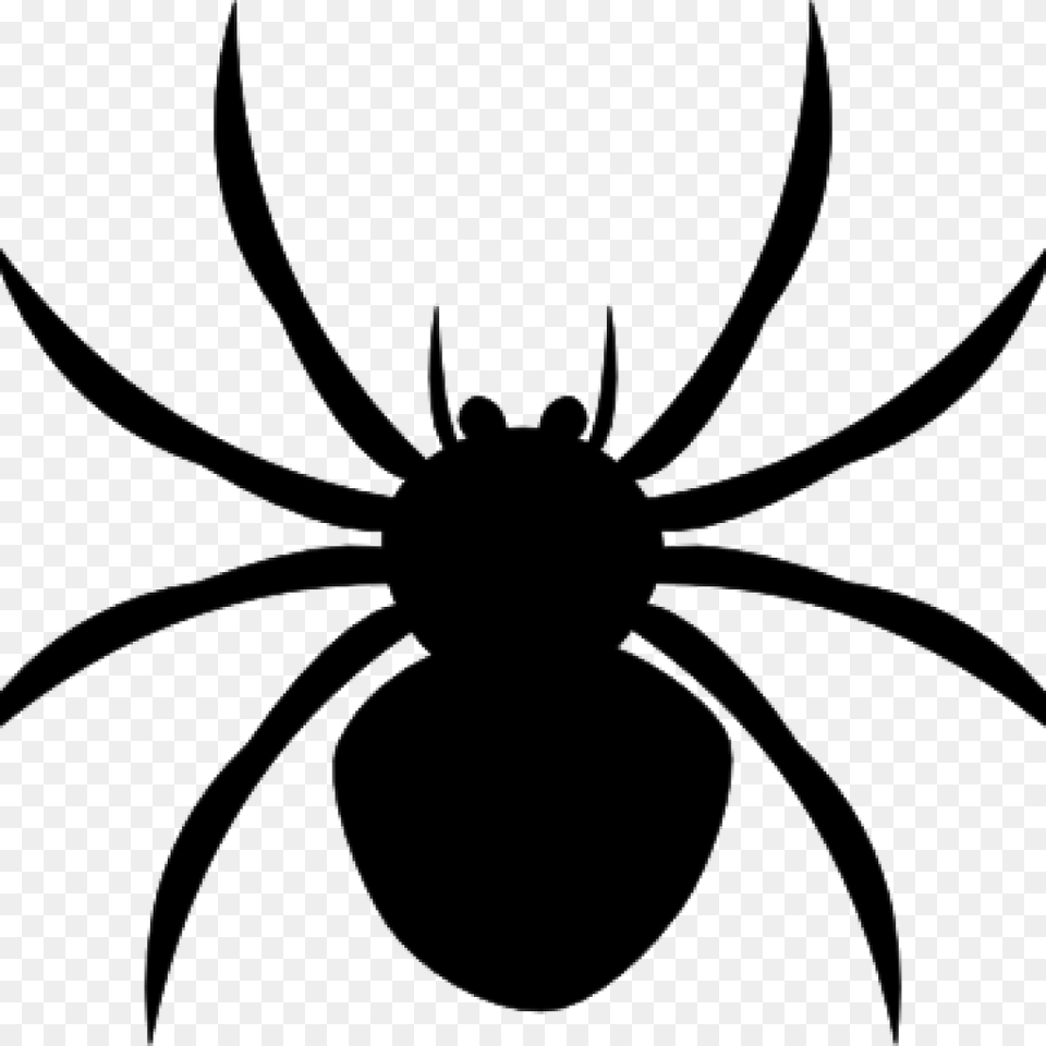 Halloween Spider Clipart, Gray Png