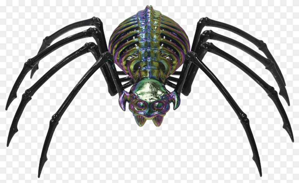 Halloween Spider Skeleton Spider, Animal, Invertebrate Free Png Download