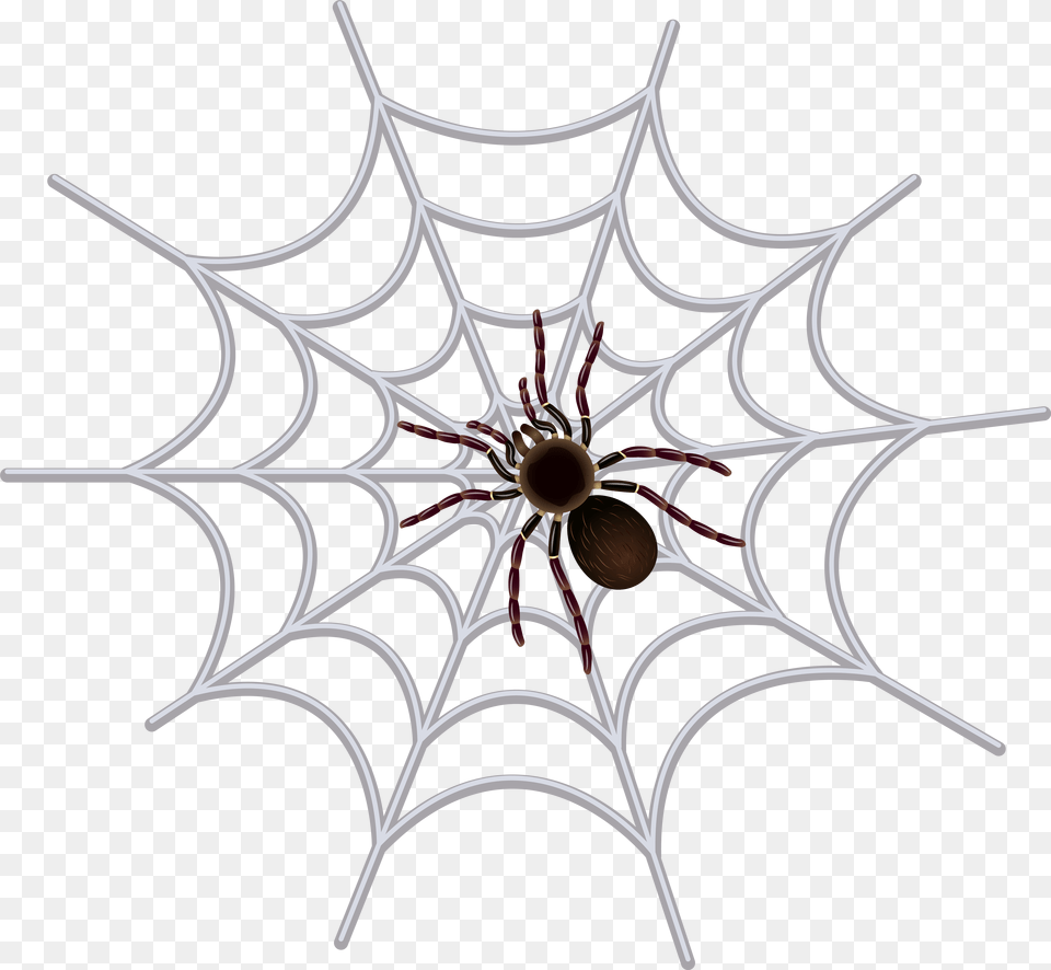 Halloween Spider Web, Chandelier, Lamp, Spider Web, Animal Free Png Download