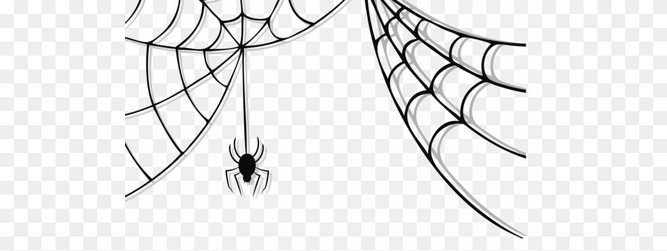 Halloween Spider Web Vector Photo, Spider Web, Animal, Invertebrate Png