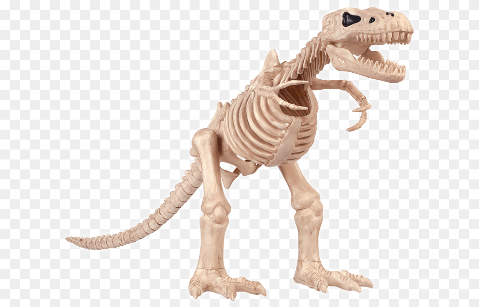 Halloween T Rex Skeleton, Animal, Dinosaur, Reptile, T-rex Png